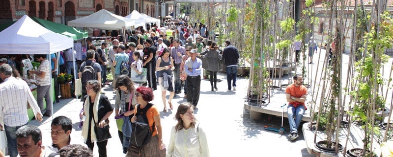 foto matadero