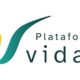 Plataforma VIDAS web