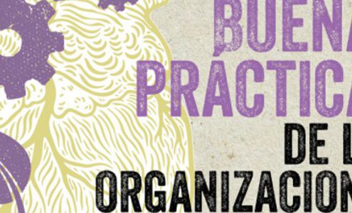 Buenas prácticas de las organizaciones para una Economía Solidaria y Feminista 9 Buenas Practicas Web