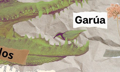 Las cooperativas Garúa y Cyclos se fusionan #SomosSimbiosis 3 somossimbiosis garua